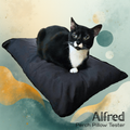 Pet Cushion: Perch