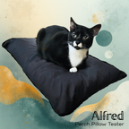 Pet Cushion: Perch