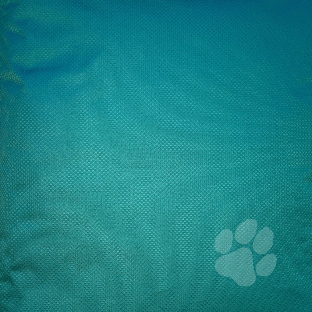 Pet Cushion: Spacious